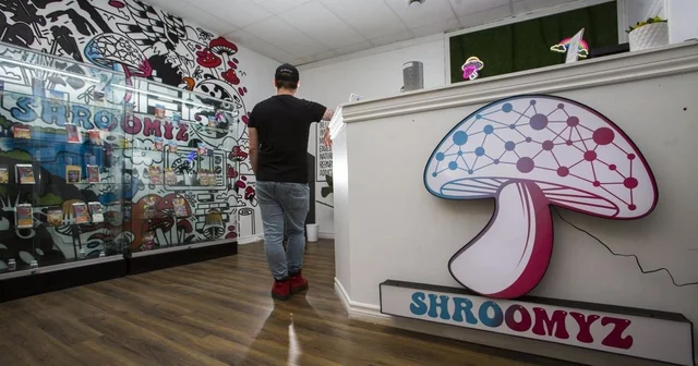 mushroom store near me