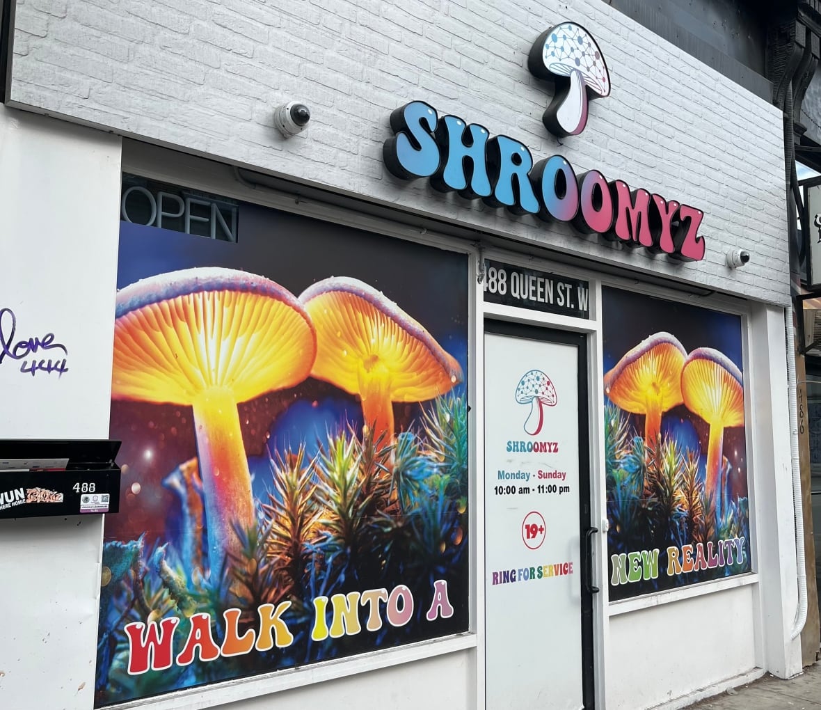 shroomyz magic mushrooms